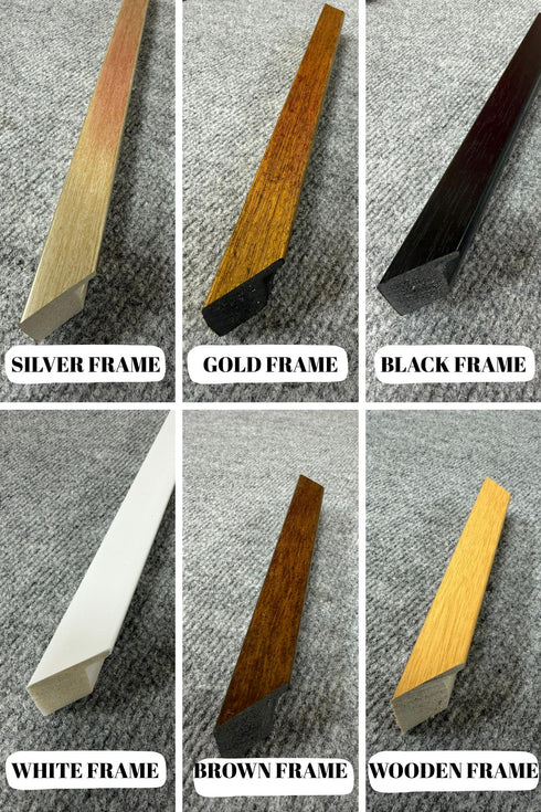 six different types of frames, each with a distinct color and material, arranged in a grid format.