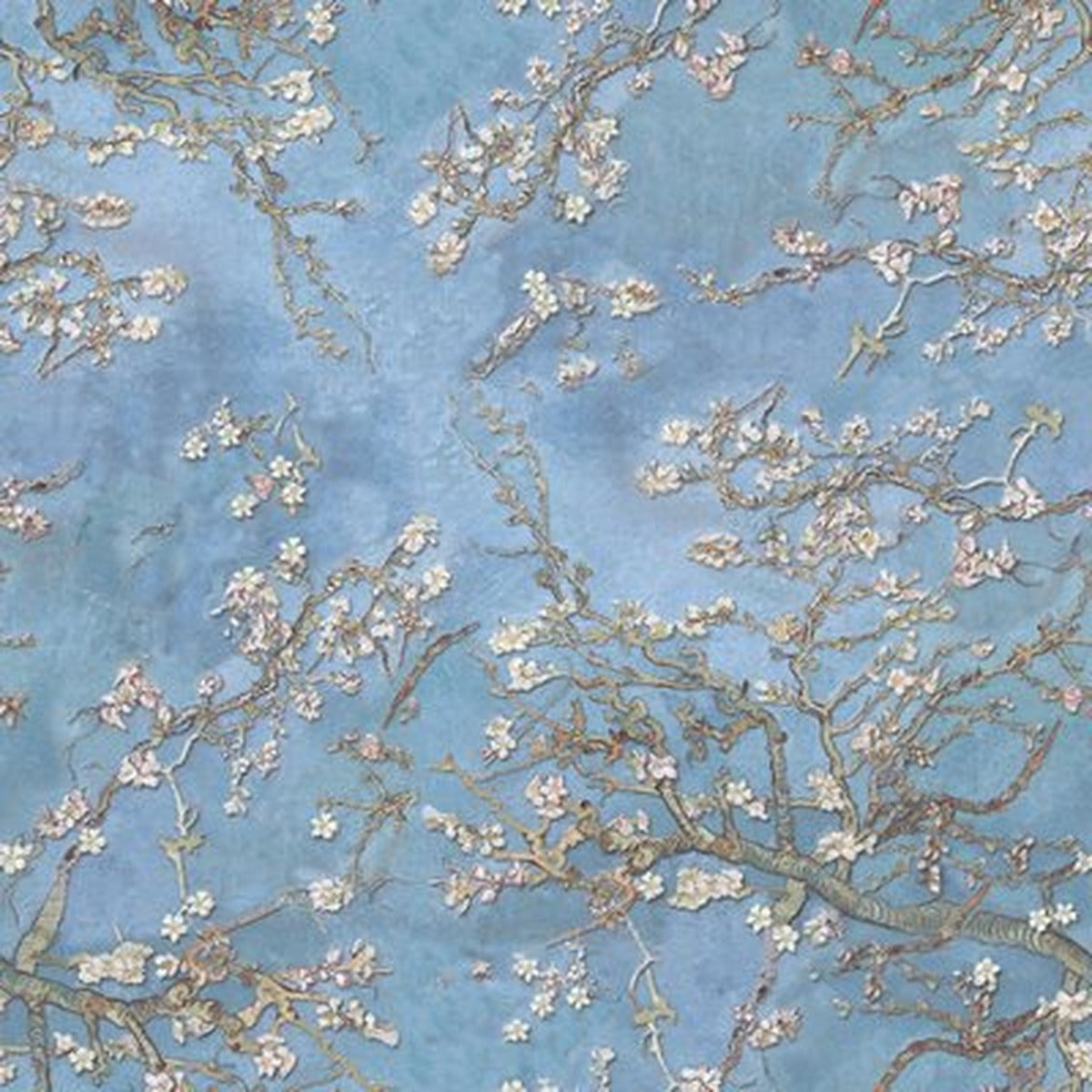 Van Gogh Tarzı Badem Çiçekleri Kare Kanvas Tablo