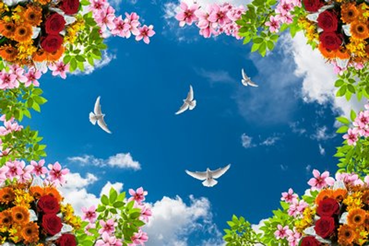 Gül ve Gerbera Çerçevesinde Güvercinler Yatay Kanvas Tablo