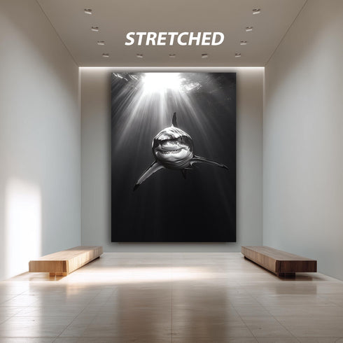 Karanlık Köpek Balığı Tablosu