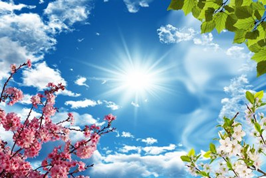 Parlayan Güneş ve Pembe Sakura Yatay Kanvas Tablo