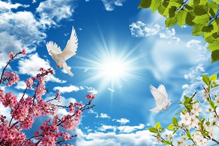 Sakura Dalları ve Güneşli Gökte Güvercinler Yatay Kanvas Tablo