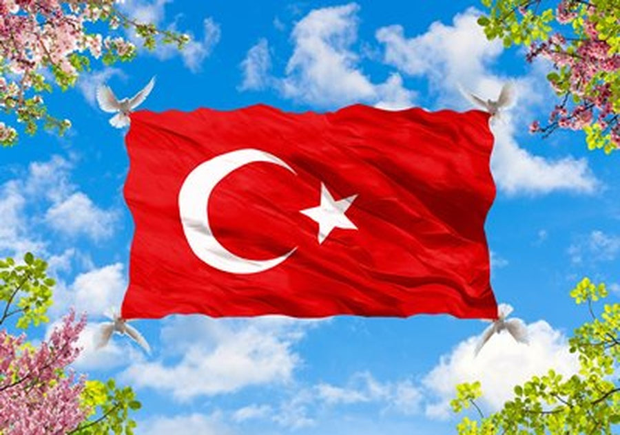 Gökyüzünde Dalgalanan Türk Bayrağı Yatay Kanvas Tablo