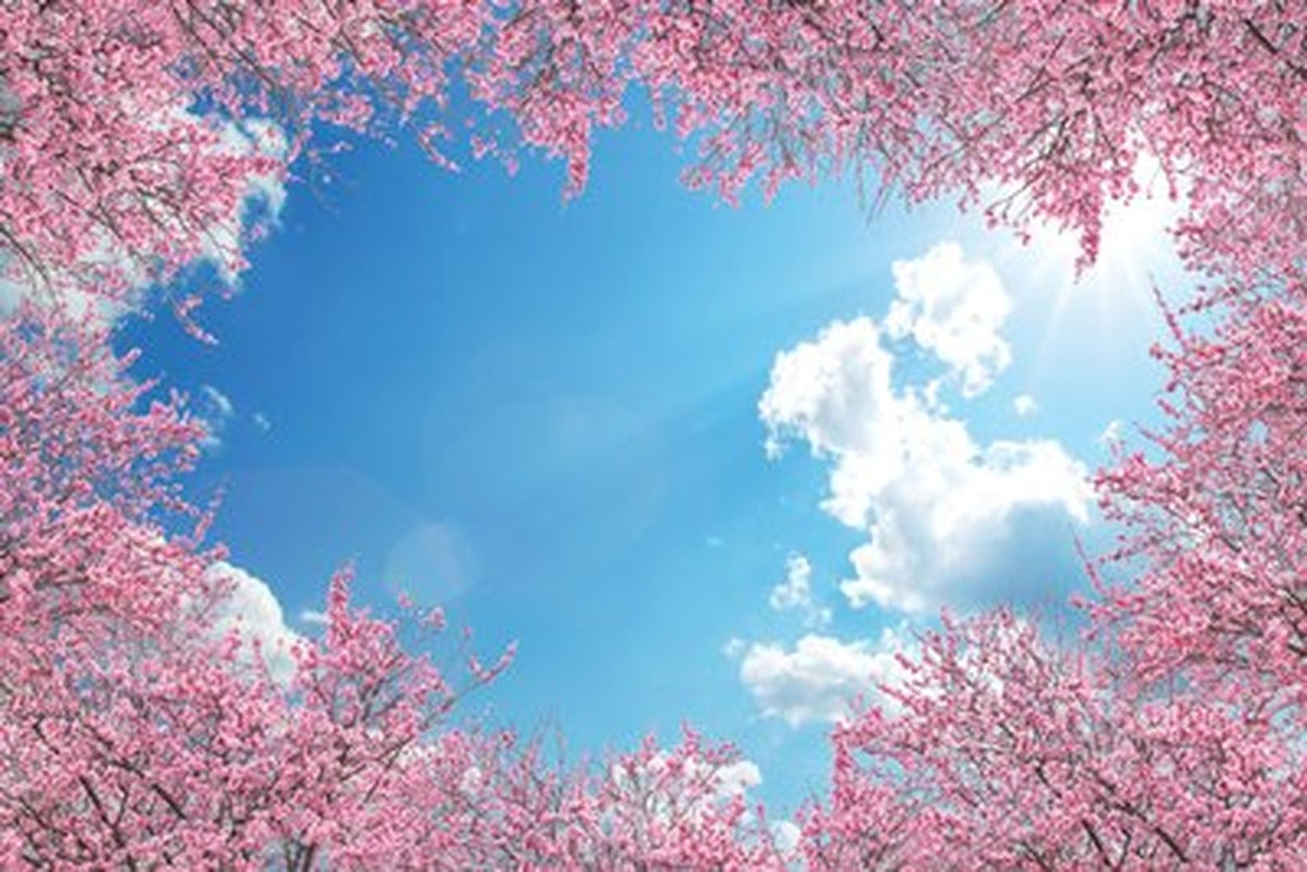 Pembe Sakura Halkası ve Güneşli Gök Yatay Kanvas Tablo