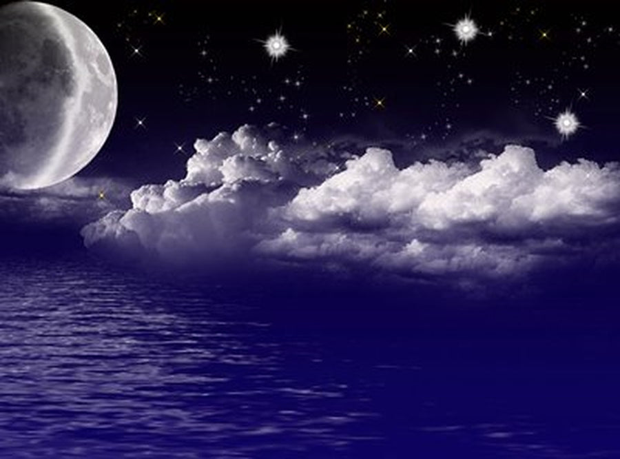Hilal ve Mor Gece Denizi Yatay Kanvas Tablo