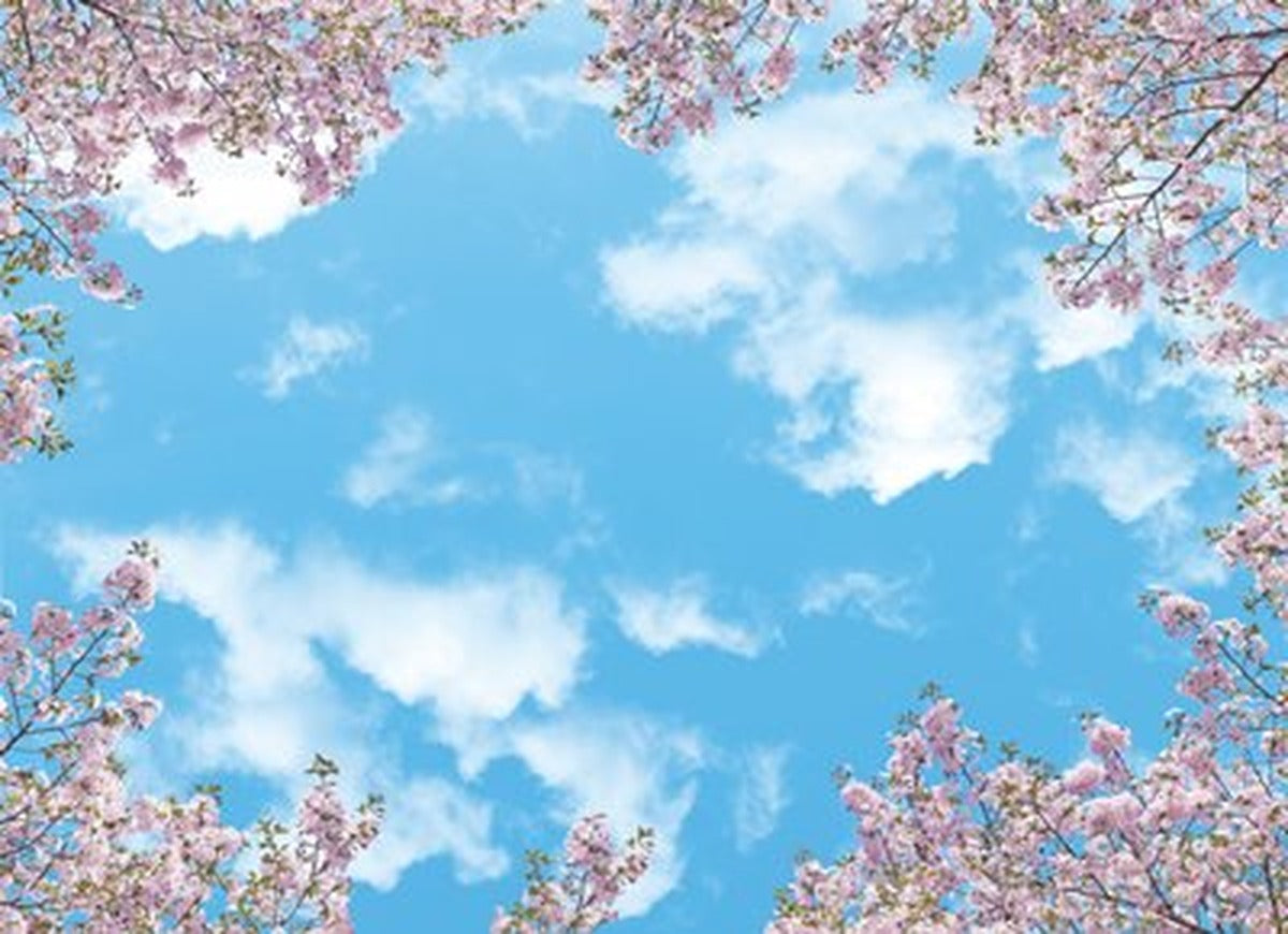 Sakura Çerçeveli Bulutlu Gök Yatay Kanvas Tablo