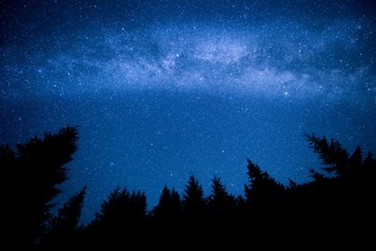 Çam Silüetleri ve Samanyolu Yatay Kanvas Tablo